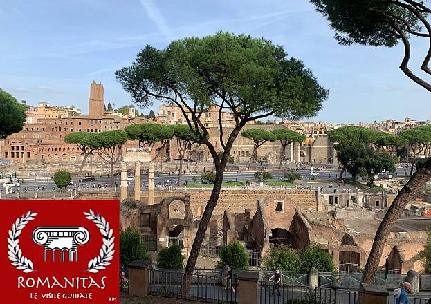 Vivi roma con romanitas! le visite guidate di romanitas